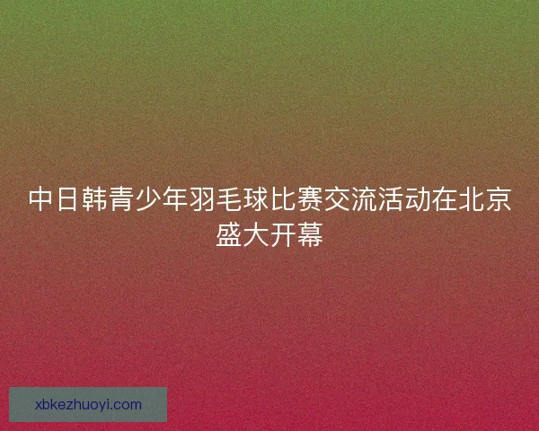 中日韩青少年羽毛球比赛交流活动在北京盛大开幕